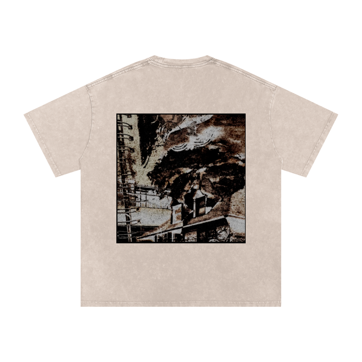 cat of the year shirt